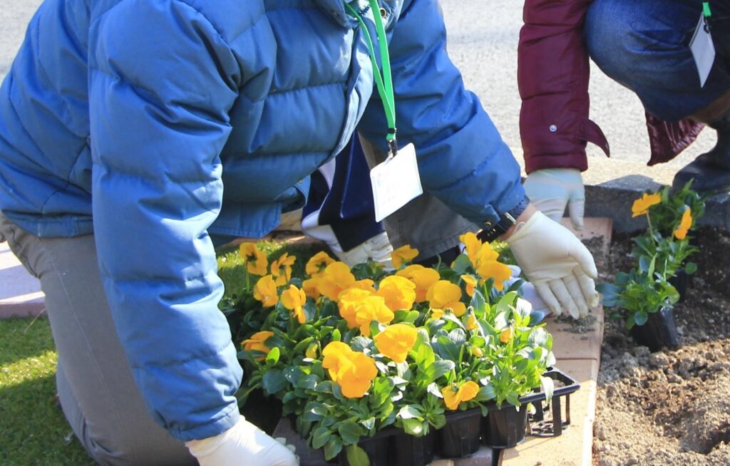 花壇作りの写真